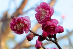 IMG_3439Awb