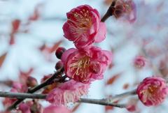 IMG_3440Cwb