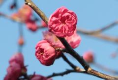 IMG_3444wb