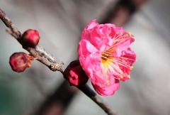 IMG_3449wb