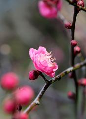 IMG_3451Cwb