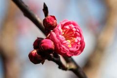 IMG_3454Awb