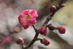 IMG_3458wb