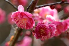 IMG_3527Awb