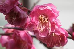 IMG_3534Awb