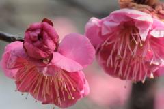 IMG_3535Bwb