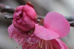 IMG_3537Awb
