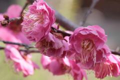IMG_3541Awb