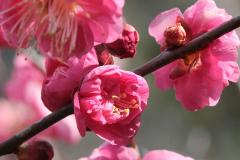 IMG_3542Awb