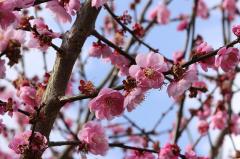 IMG_6111wb