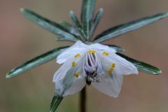 IMG_3483wb