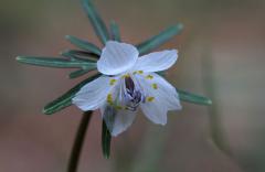 IMG_3484wb