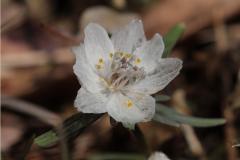 IMG_3658wb