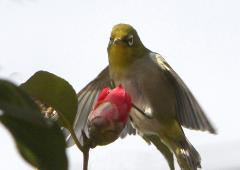 Image00002