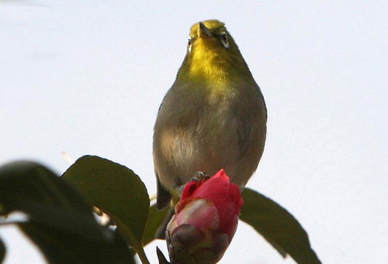 Image00003