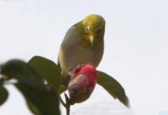 Image00004