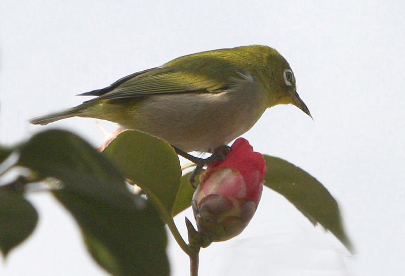 Image00005