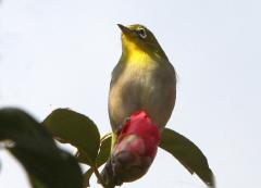 Image00006