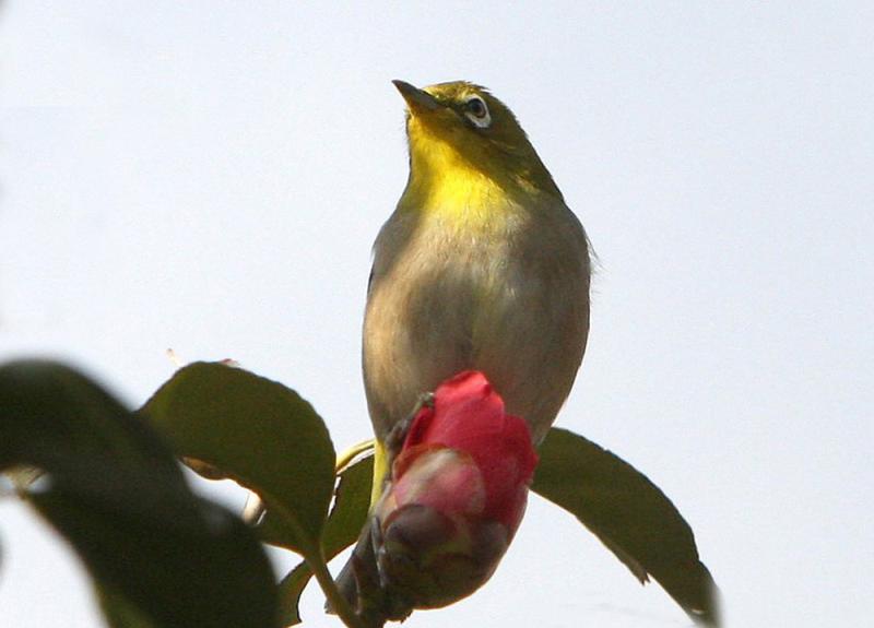 Image00006
