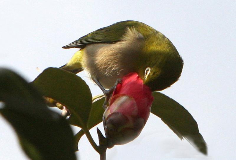 Image00007