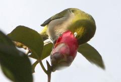 Image00008