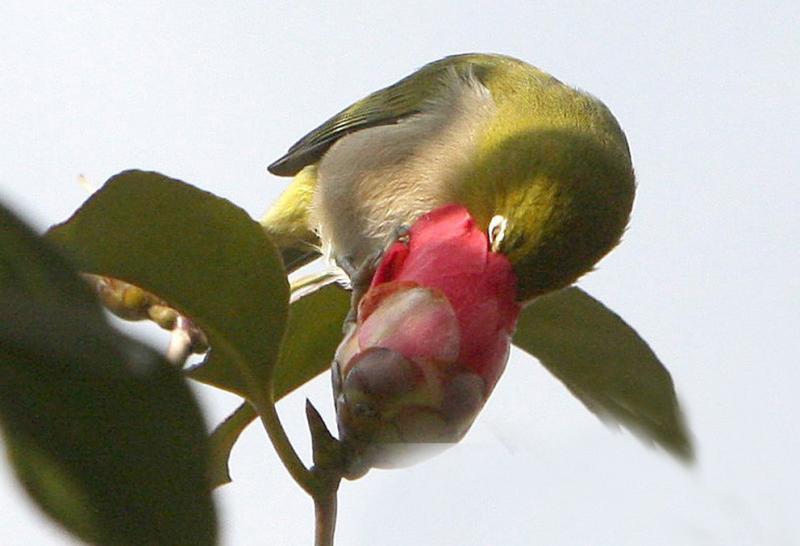 Image00008