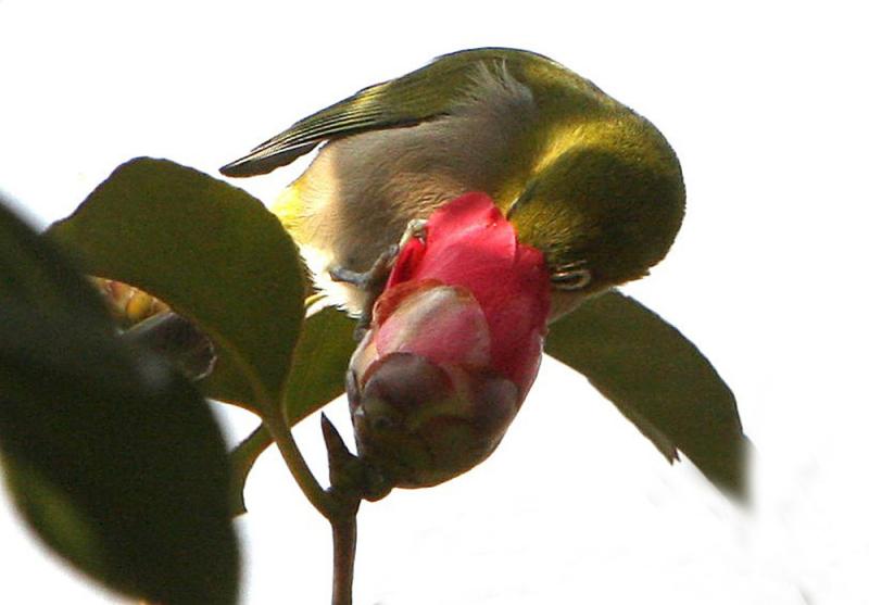 Image00009