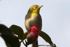 Image00011