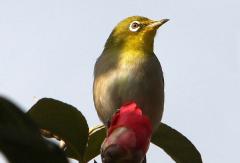 Image00012