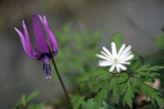 IMG_1058wb
