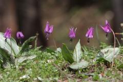 IMG_1077wb