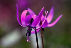 IMG_8362wb