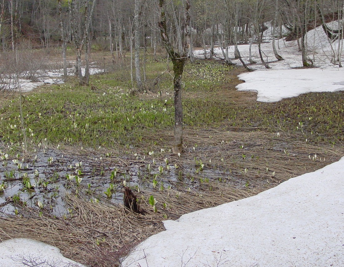 Image00002