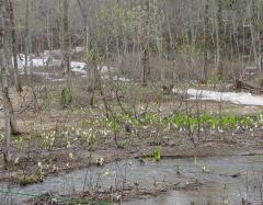 Image00003