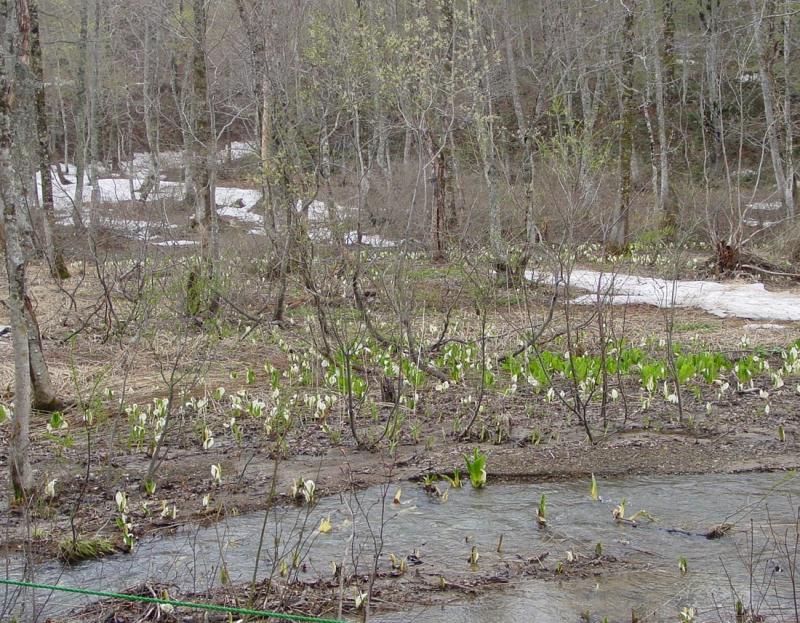Image00003
