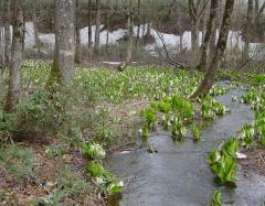 Image00006