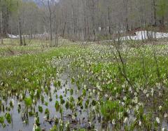 Image00008