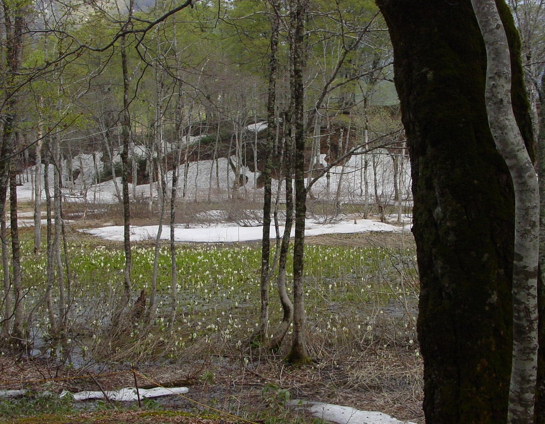 Image00009