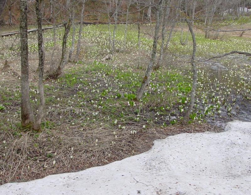 Image00010