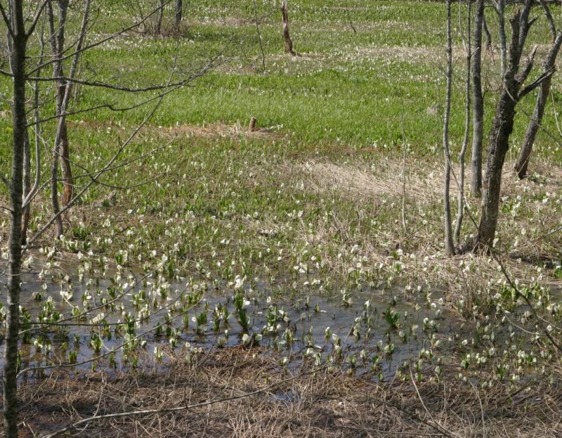 Image00011