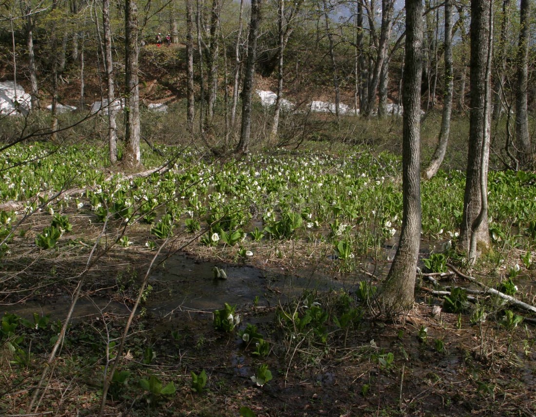 Image00013
