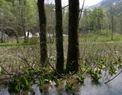Image00014