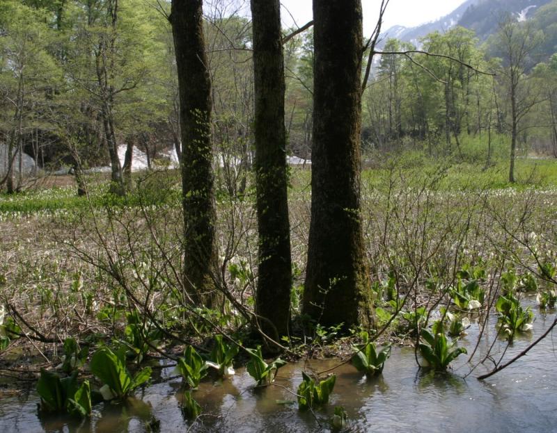 Image00014