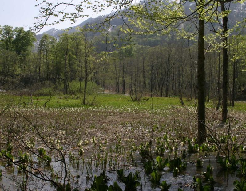 Image00015