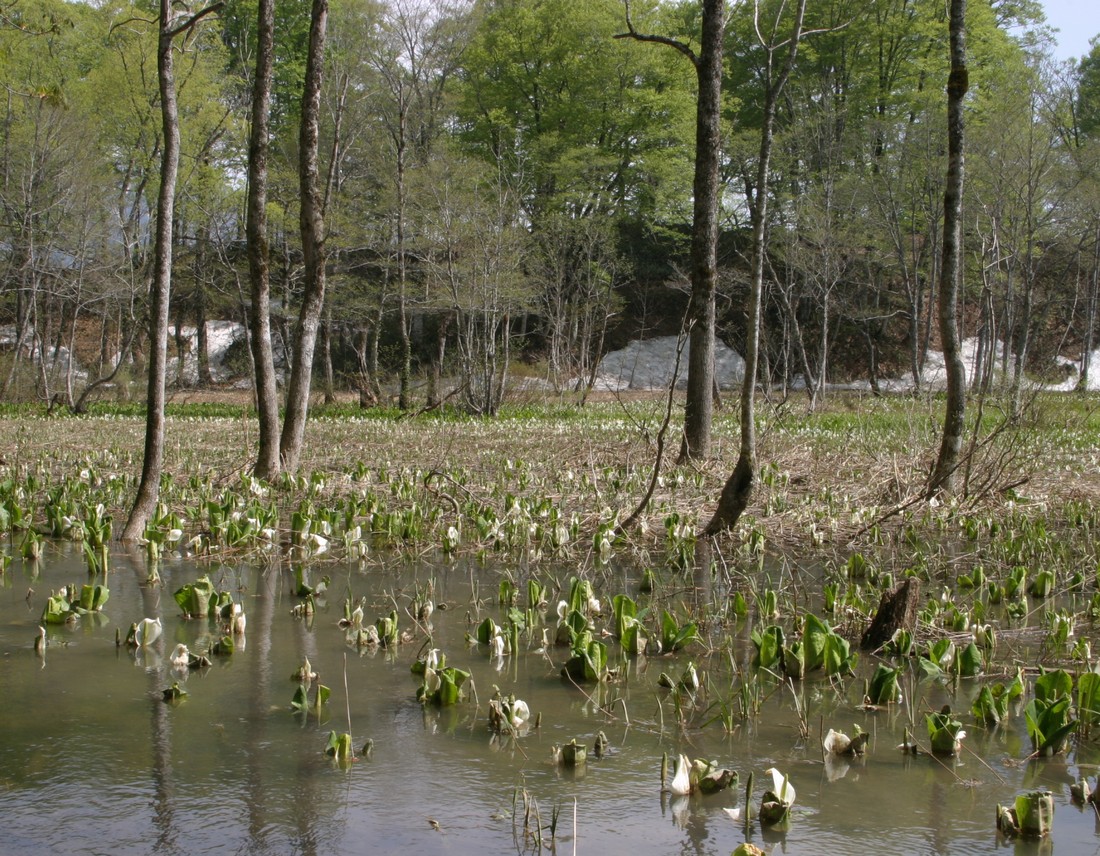 Image00016