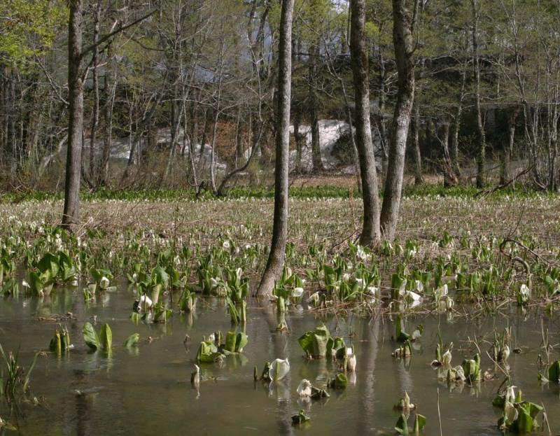 Image00017