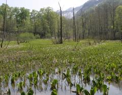 Image00018