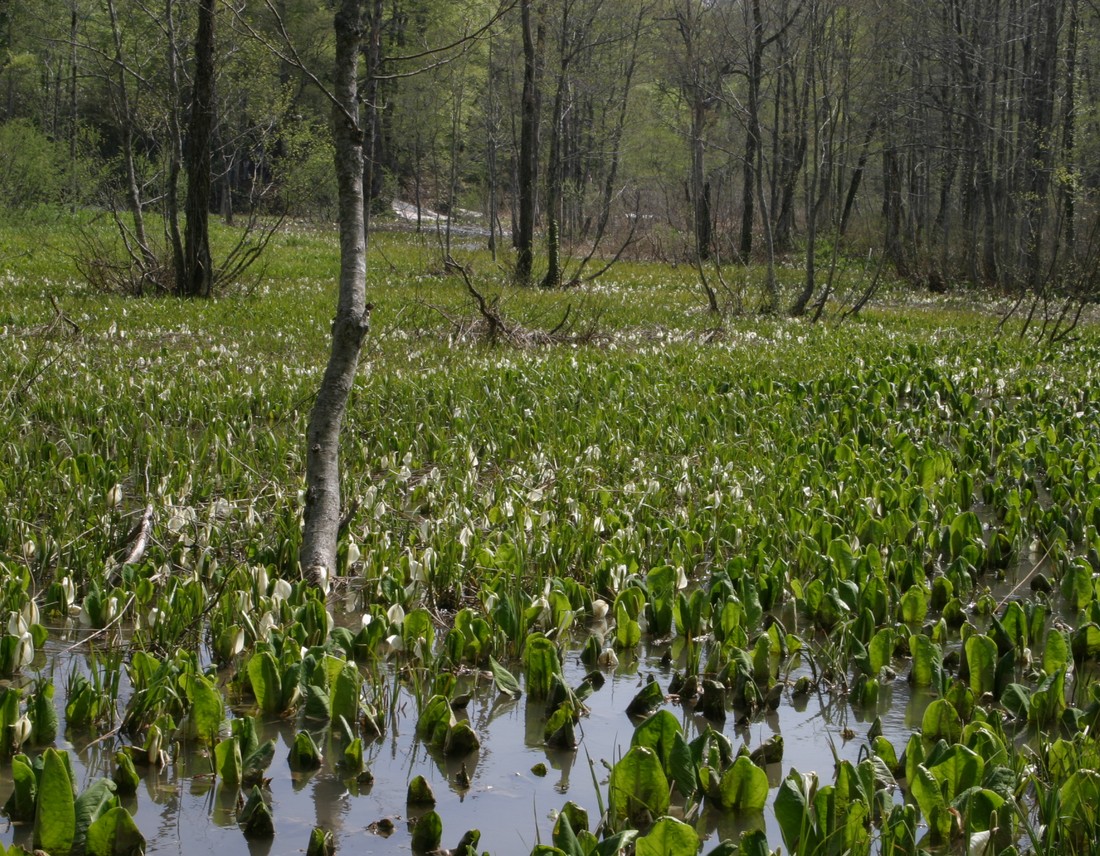Image00019