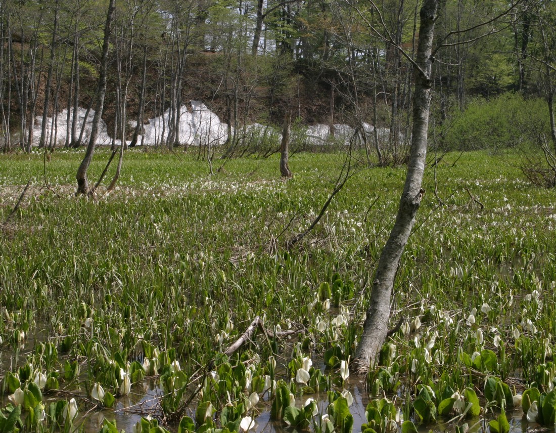 Image00020