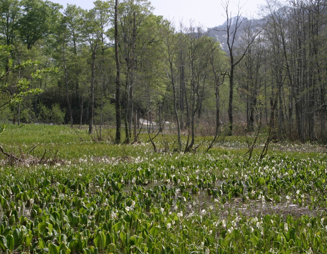 Image00021